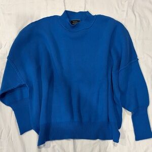 VICI Bright Blue Ribbed Turtleneck Sweater